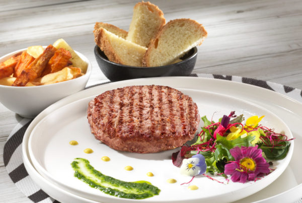 Hamburger bio piatto fiorani e c. azienda produzione carne ambiente